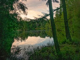 IMGP6353-1_Brunkulssoe Soeby